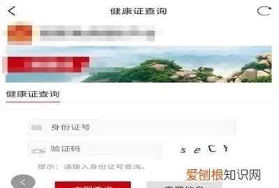 电子健康证怎么查看，在手机上怎么查电子版健康证模板