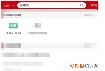 电子健康证怎么查看，在手机上怎么查电子版健康证模板