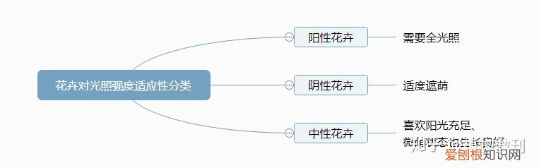 上 新手种花 养花入门建议，新手养花，这些入门攻略可收好了