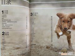 关于狗的相关知识，狗狗知识10个铲屎官有9个都答不对？你需要一本DK的《狗百科》！