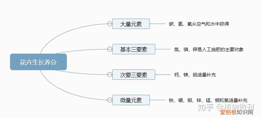 养花施肥技巧与方法，新手养花，入门攻略之施肥管理