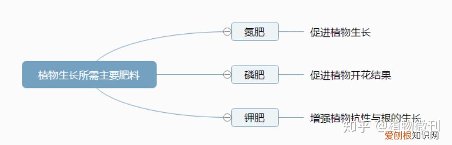 养花施肥技巧与方法，新手养花，入门攻略之施肥管理