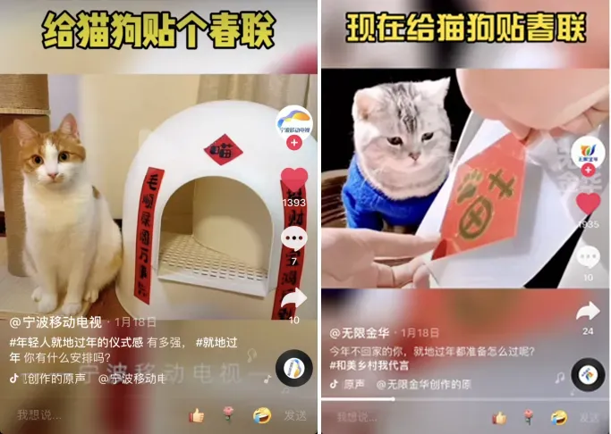 宠物店春联横批，给宠物贴春联、做年夜饭，这些新潮拜年方式火了！