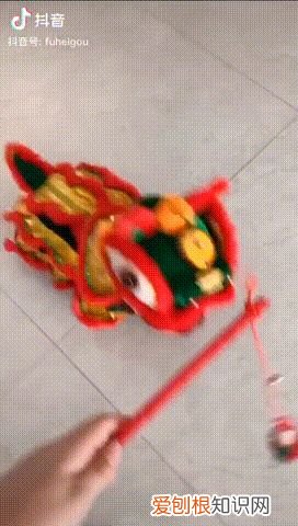 宠物店春联横批，给宠物贴春联、做年夜饭，这些新潮拜年方式火了！