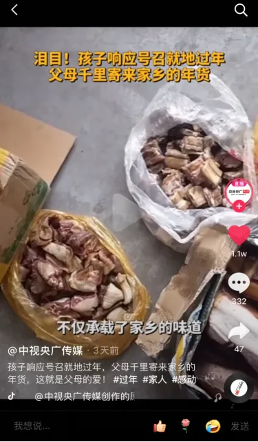 宠物店春联横批，给宠物贴春联、做年夜饭，这些新潮拜年方式火了！