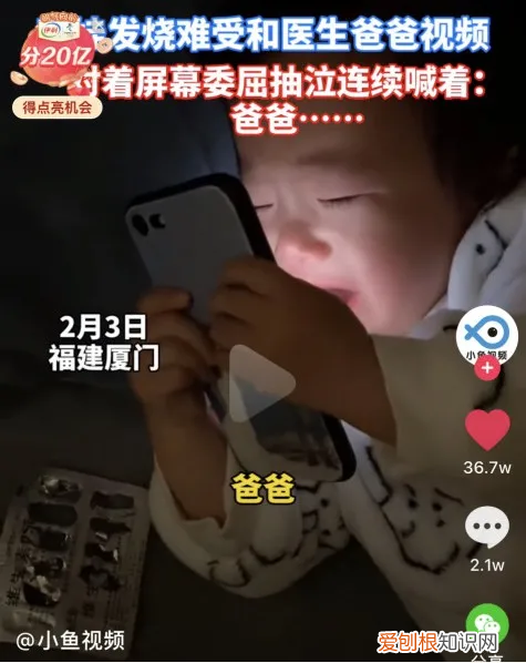 宠物店春联横批，给宠物贴春联、做年夜饭，这些新潮拜年方式火了！