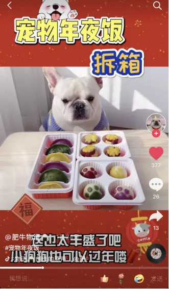 宠物店春联横批，给宠物贴春联、做年夜饭，这些新潮拜年方式火了！