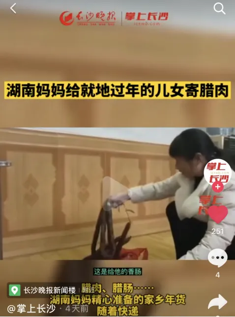 宠物店春联横批，给宠物贴春联、做年夜饭，这些新潮拜年方式火了！