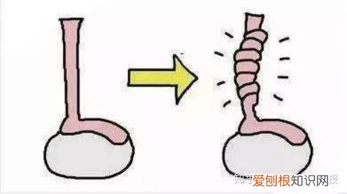 男性方面知识，有哪些男生必须知道的健康常识？