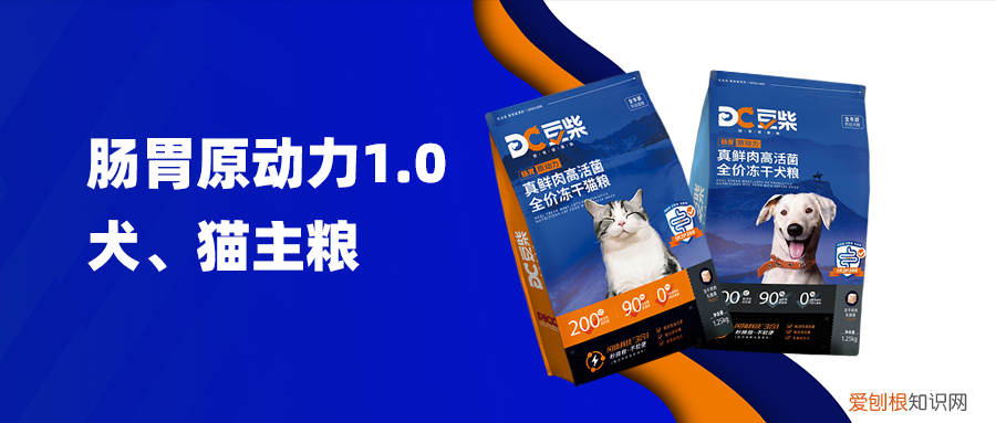 私域客户运营怎么做，做了8年私域，拥有百万用户的「豆柴」想要开创宠粮新品类