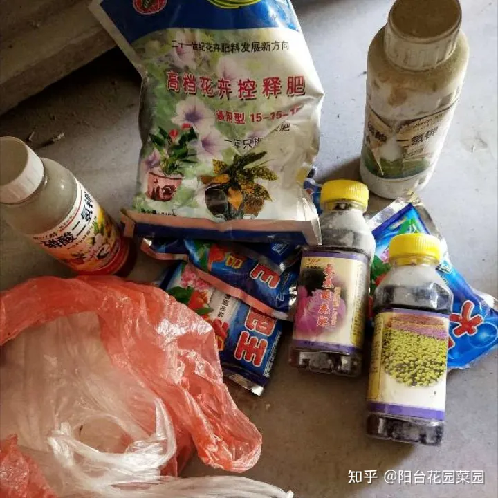 阳台如何种花与盆栽，养花牢记“3口诀”，啥花都能养好，阳台变花园，四季花不败