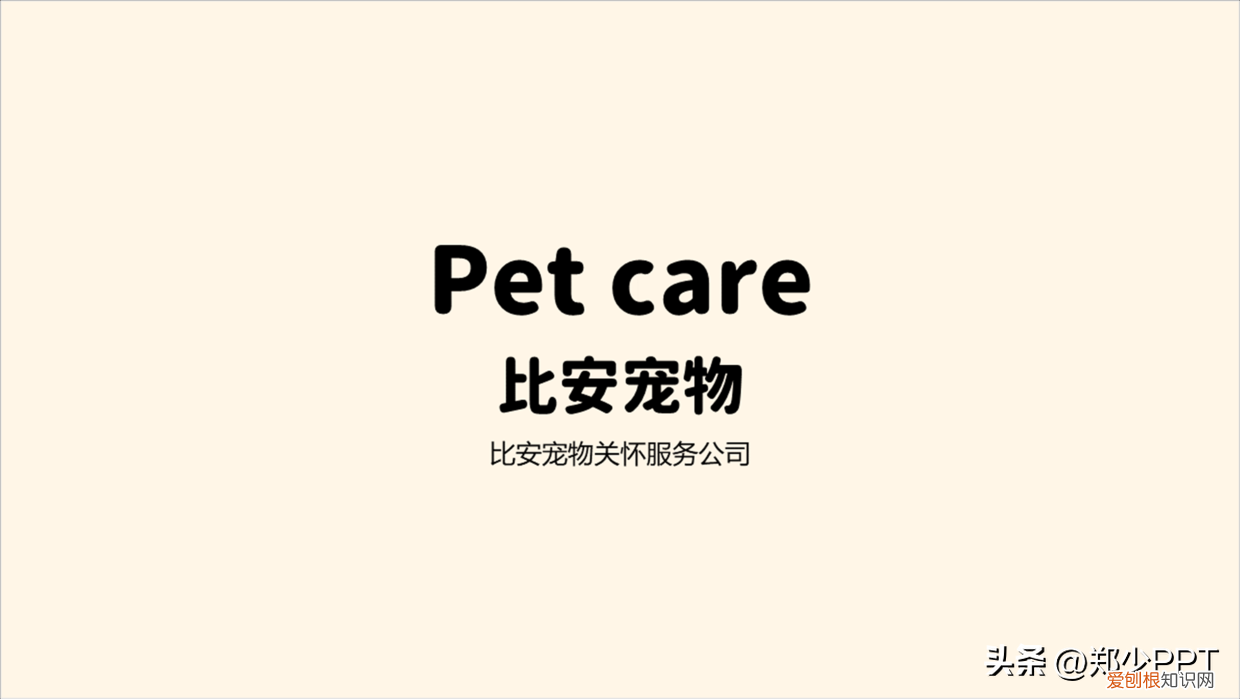 卡通动物ppt背景 可爱,不用图,设计了一份宠物PPT,效果也很不错