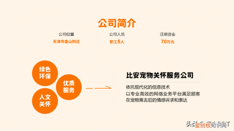 卡通动物ppt背景 可爱,不用图,设计了一份宠物PPT,效果也很不错