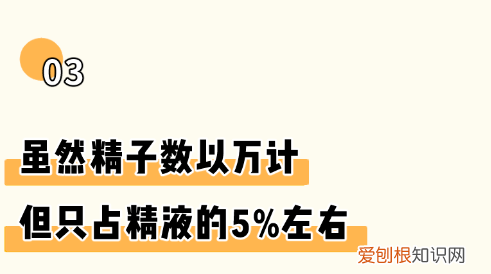 女生必看 因羞耻而湿掉的内裤，羞耻又湿漉漉的男性小知识…又增加了！