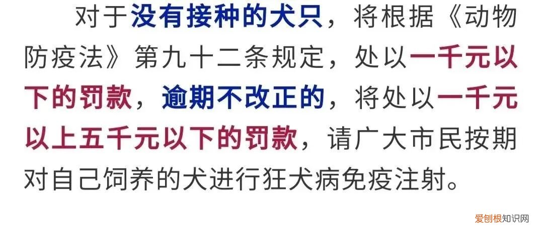 租房不能养狗怎么办，再养狗就不让租房？官方回复来了