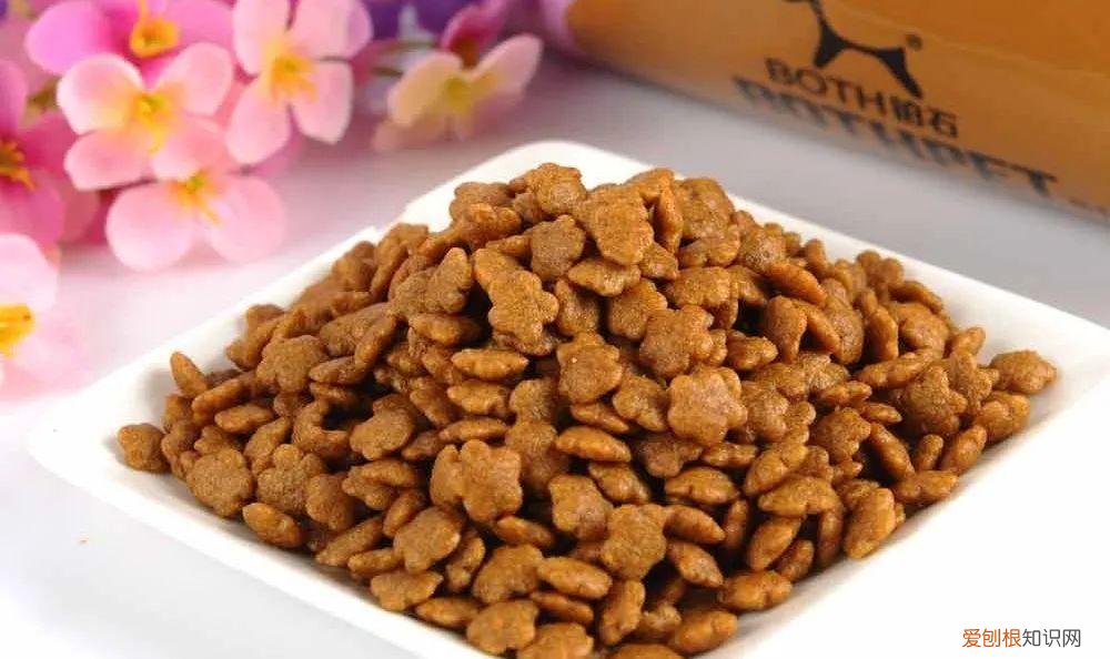 动物的商标,解码“宠物经济”:千亿市场,专利、商标成入行“硬指标”