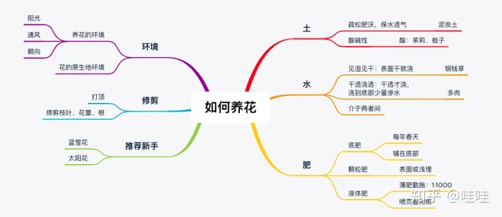 仙人掌类的花怎么养活,仙人掌都能养死,但还想养花怎么办?这本书让你从植物杀手变身为高手