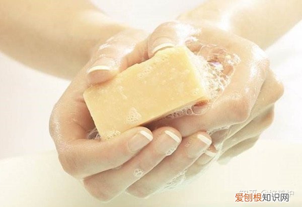 怎么把花店的花养活，花市老板绝不外传的7个养花绝招!