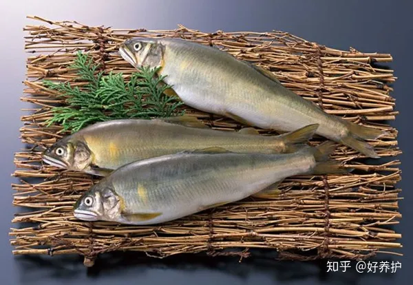 怎么把花店的花养活，花市老板绝不外传的7个养花绝招!