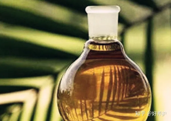 怎么把花店的花养活，花市老板绝不外传的7个养花绝招!