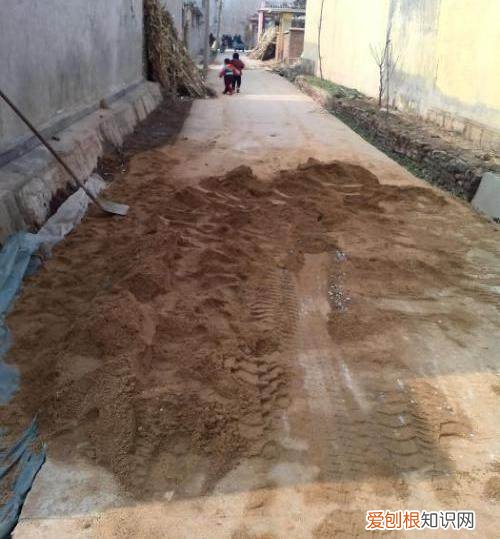 家里养花的土怎么弄，养花没有土，盆里掺点它，花芽呼呼长，再也不用买土