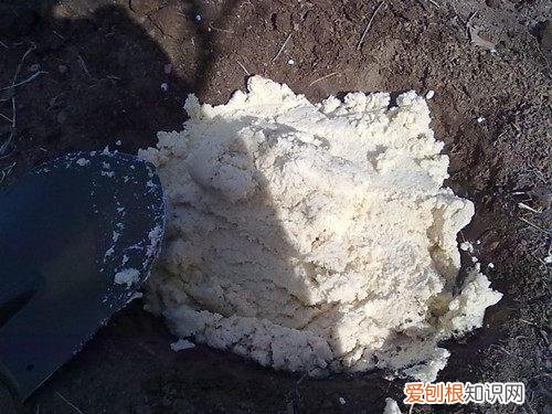 家里养花的土怎么弄，养花没有土，盆里掺点它，花芽呼呼长，再也不用买土