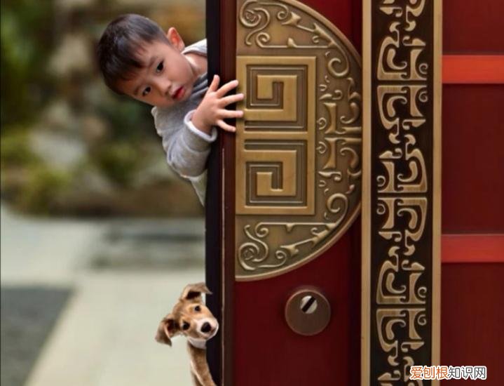 了解育儿知识，宝妈们一般都是怎样获得育儿知识的？