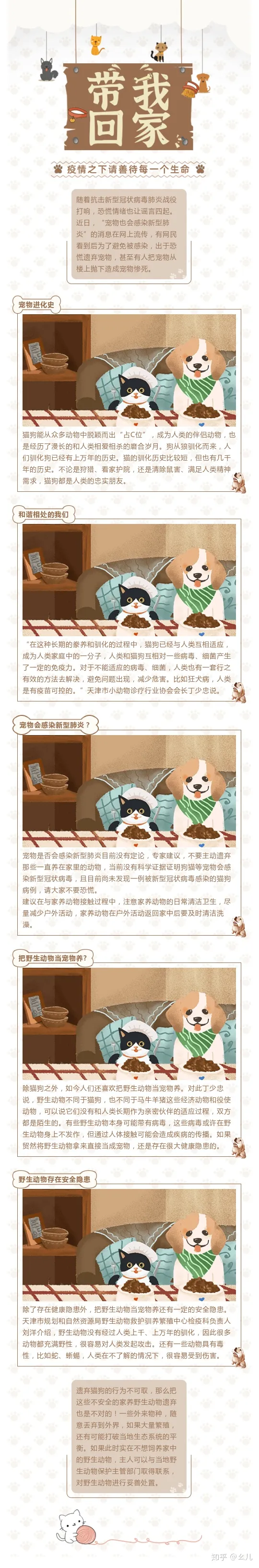 萌宠指南公众号，教你十分钟搞定一篇萌宠主题的公众号图文排版