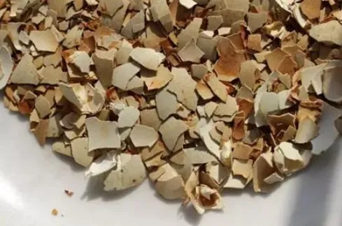 养好花的5种方法，广为流传的养花妙招大全，真的很管用！果断收着