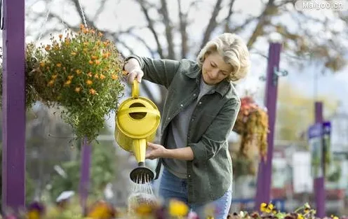 养好花的5种方法，广为流传的养花妙招大全，真的很管用！果断收着