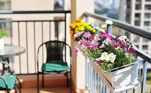 养好花的5种方法，广为流传的养花妙招大全，真的很管用！果断收着