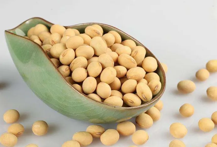 养好花的5种方法，广为流传的养花妙招大全，真的很管用！果断收着