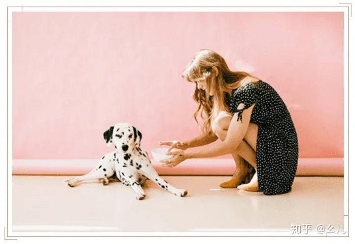 宠物公众号介绍怎么写，宠物类的微信公众号图文怎样排版可以提高阅读量？