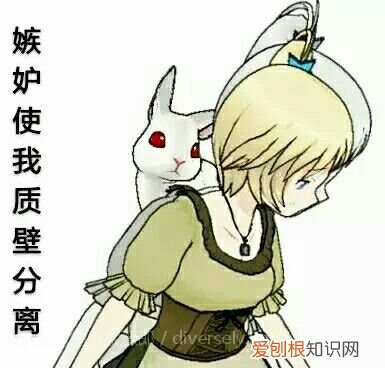 关于花的微信公众号,著名公众号养花大全里的内容科学吗?