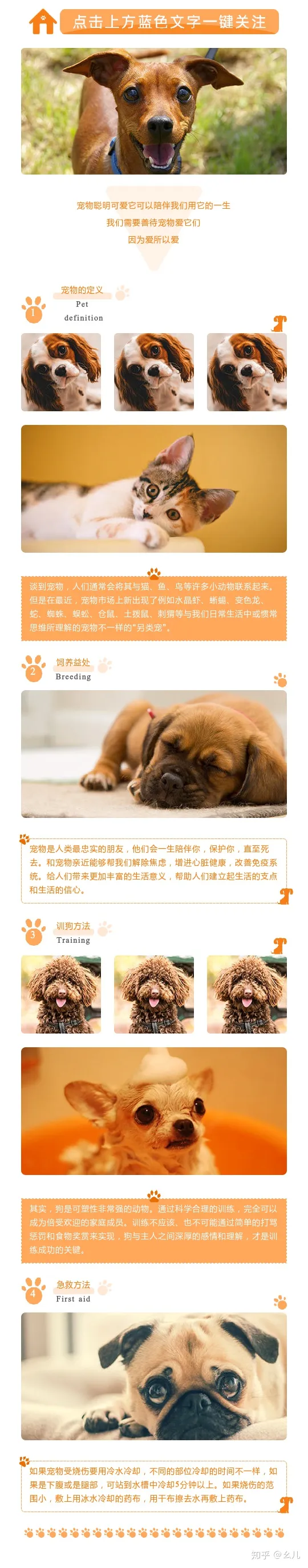 养宠物的公众号有哪些，宠物相关的微信公众号图文还能这样排版？萌化了