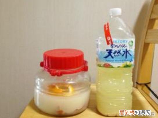 自制花肥太臭怎么办，这5种自制花肥方法，家里人再也不会嫌臭啦！