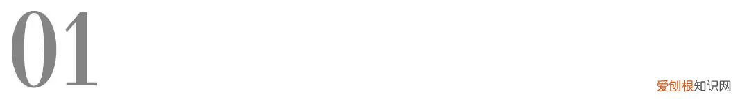 水头宠物公司，头部宠物自媒体「RawMeat」布局湿粮赛道，创立品牌Purrja扑呀