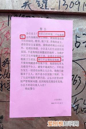 警告:“小区已经申领2000包毒狗粮,毒死狗后果自负!”,小区毒狗事件最新版