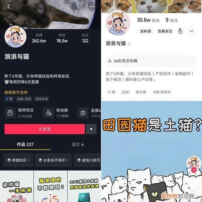 宠物行业媒体联盟在京成立时间,智囊 | 宠物经济崛起,宠物自媒体如何定位与转型?