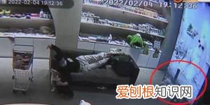 宠物狗寄养后死亡，谁负责？，宠物狗寄养后死亡,谁负责任