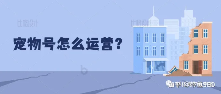 宠物号运营,宠物号怎么做,分享我自己的运营秘诀