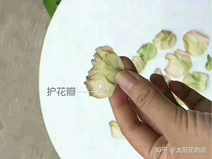 鲜花能存放几天，鲜花收到后怎么养可以开得更久？