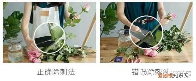 鲜花能存放几天，鲜花收到后怎么养可以开得更久？