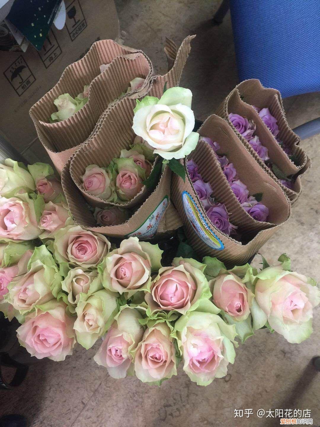 鲜花能存放几天，鲜花收到后怎么养可以开得更久？