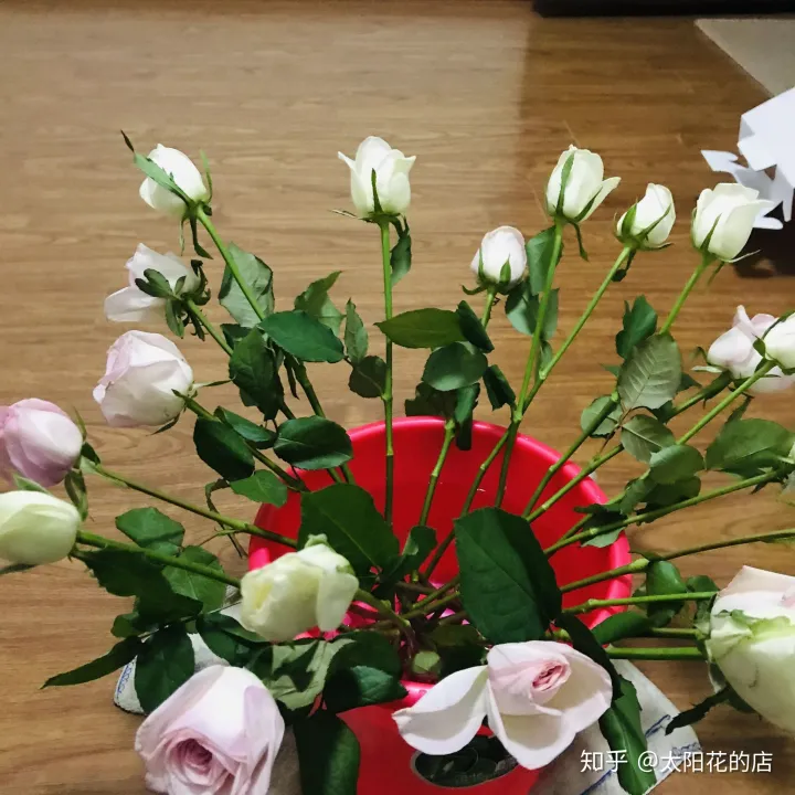 鲜花能存放几天，鲜花收到后怎么养可以开得更久？