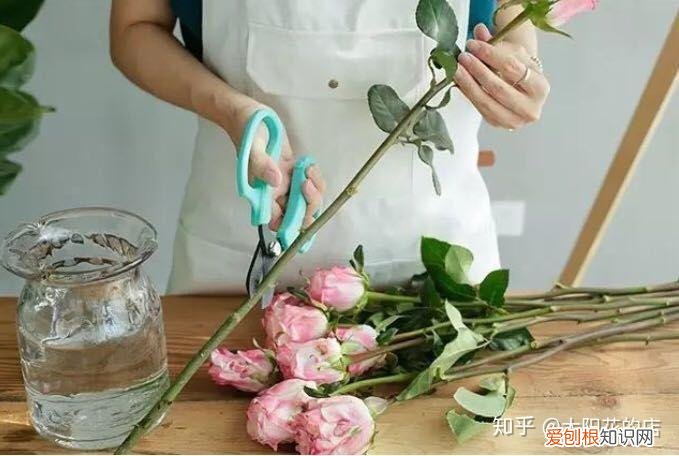 鲜花能存放几天，鲜花收到后怎么养可以开得更久？