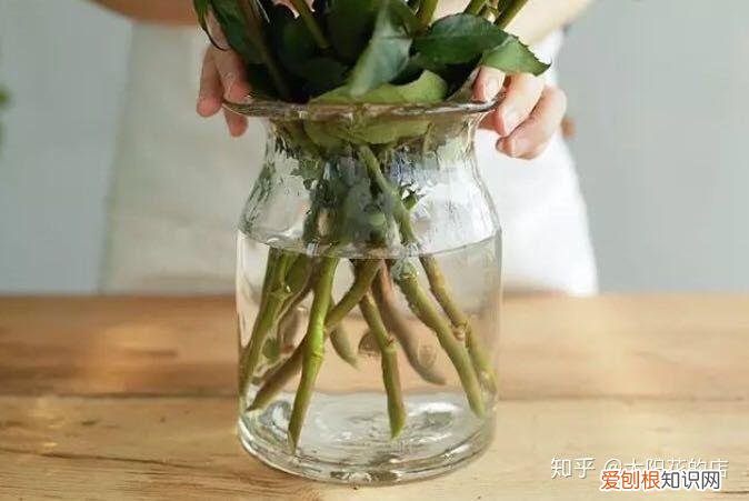 鲜花能存放几天，鲜花收到后怎么养可以开得更久？