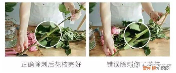 鲜花能存放几天，鲜花收到后怎么养可以开得更久？