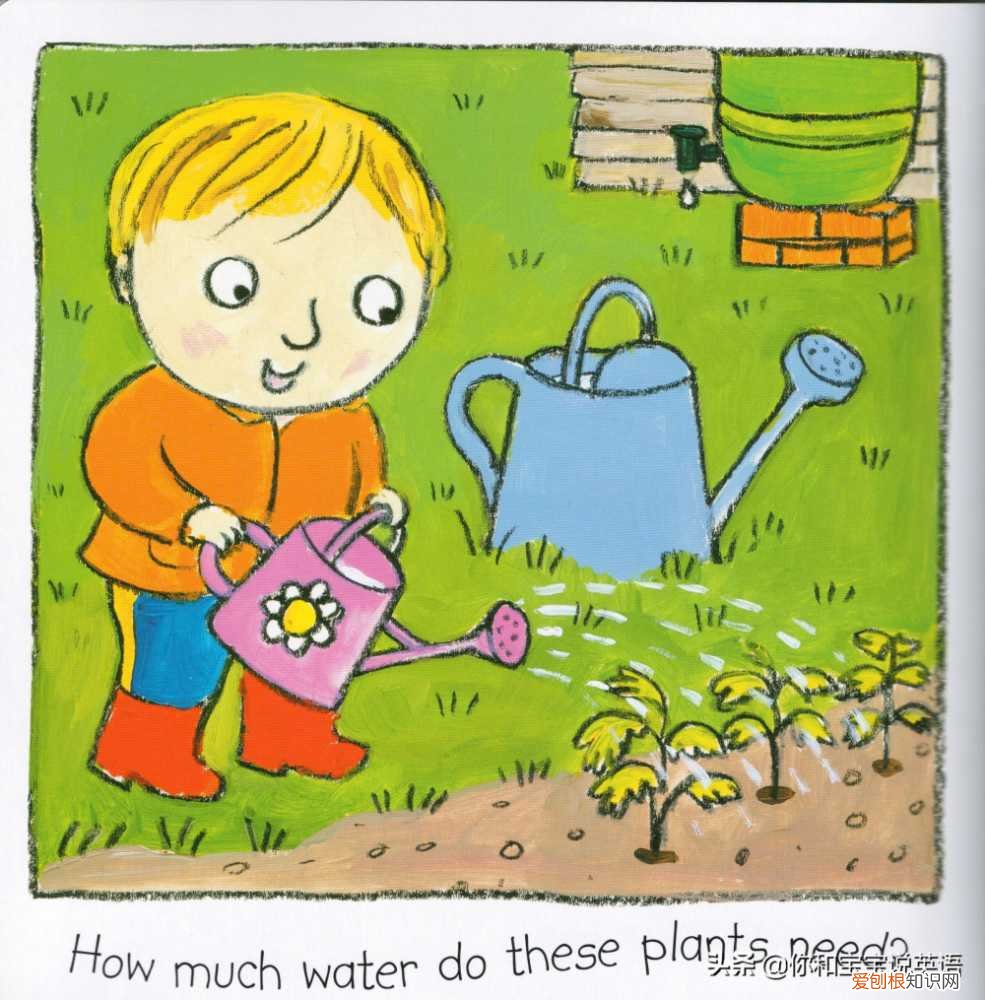 浇植物用英语怎么写，用英文教宝宝种植物，播种、浇水、移栽、培土&#8230;&#8230;