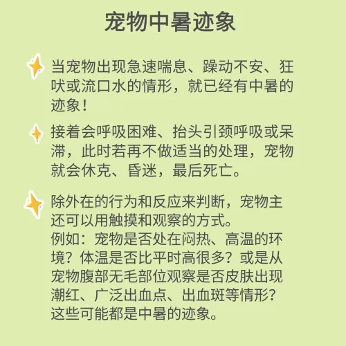 夏至对动物的影响，【宠物知识科普篇】夏至即将到来，宠物如何安全避免中暑，这份避暑功课请牢记！